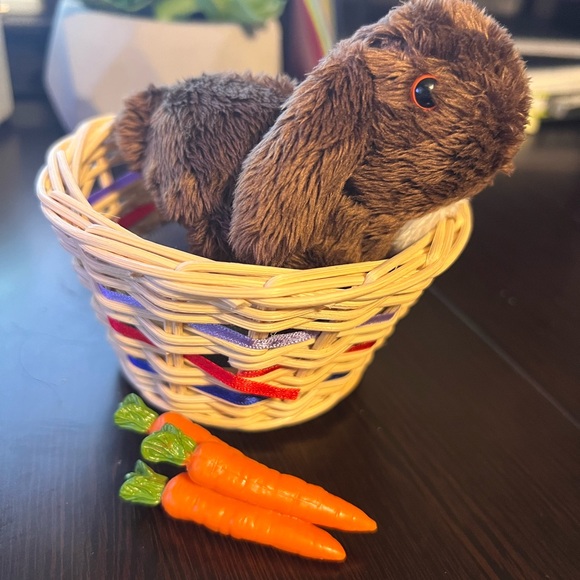 Nutmeg, Julie’s chocolate colored bunny. - Picture 3 of 8